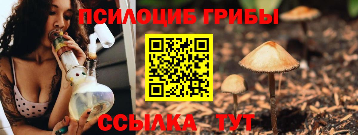 цена   Вход с VPN  Борисоглебск  Псилоцибиновые грибы GOLDEN TEACHER 