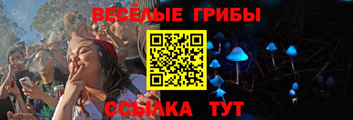 Галлюциногенные грибы Cubensis Борисоглебск